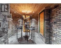 166 High Park Avenue, Toronto, ON M6P2S4 Photo 42