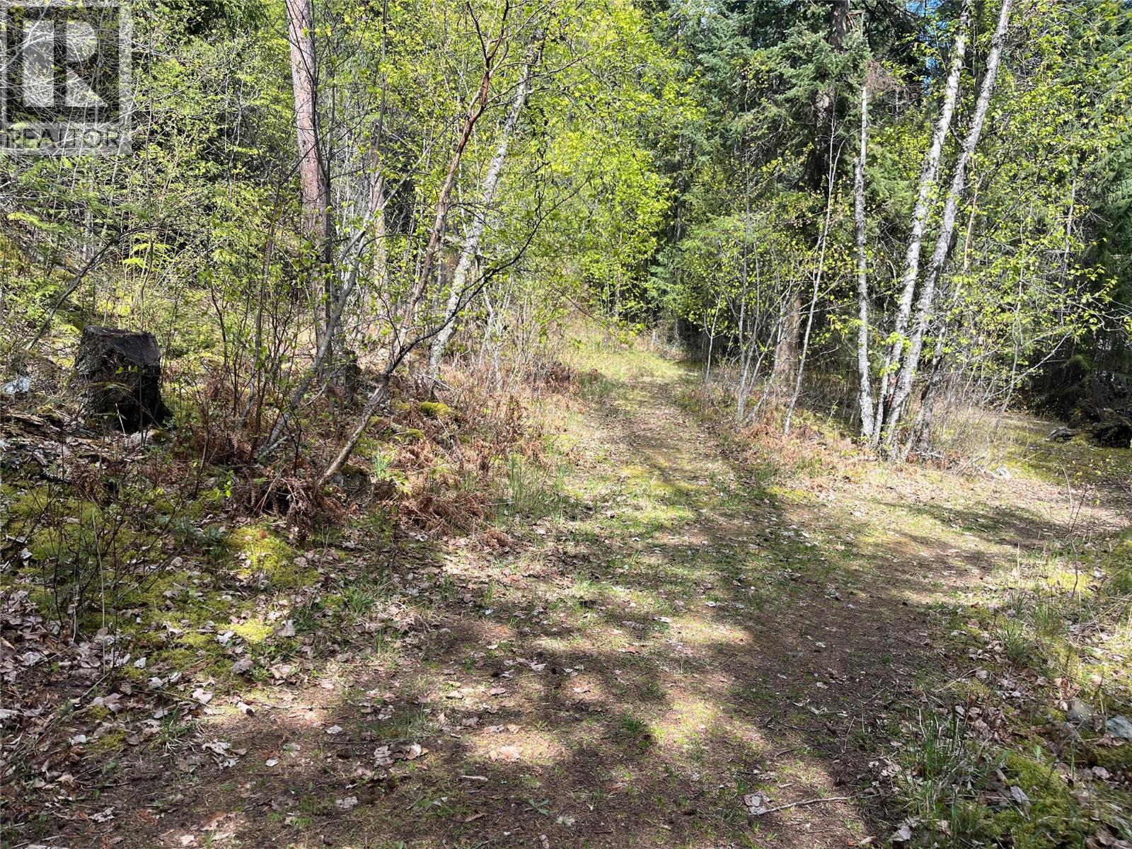 5864 Morgan Drive - 32