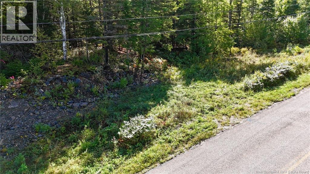 00 Route 745, Oak Hill — photo 2