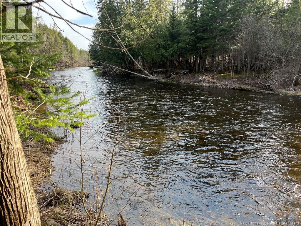 1106 Rte 590 - Image 3