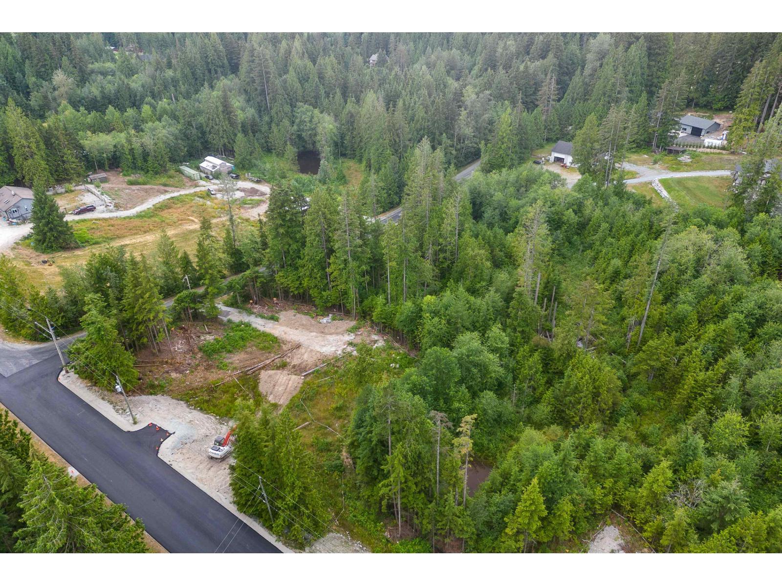 Vacant Land for Sale in Mission – 12685 CARR STREET, Mission - Image 3
