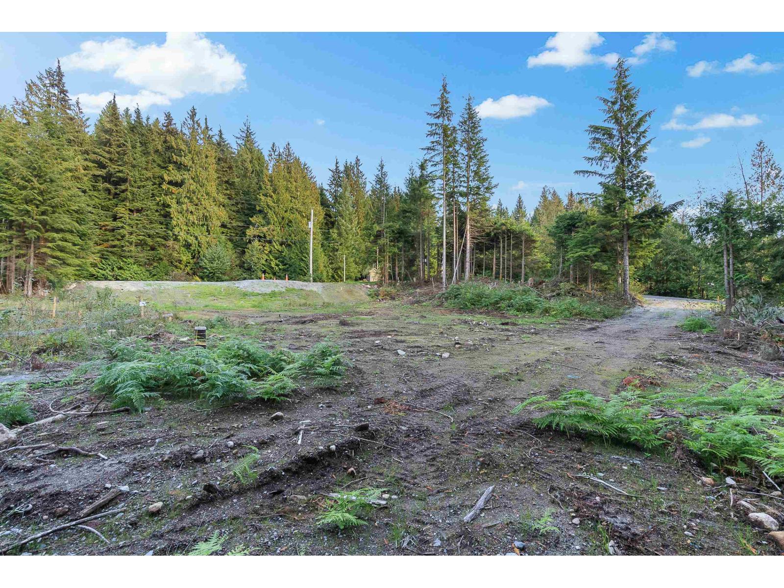 Vacant Land for Sale in Mission – 12685 CARR STREET, Mission - Image 4
