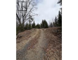 Lot 22-3 226 Brookville Branch Road, Bridgeville, NS B2H5C7 Photo 7