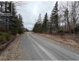 Lot 22-3 226 Brookville Branch Road, Bridgeville, NS B2H5C7 Photo 8