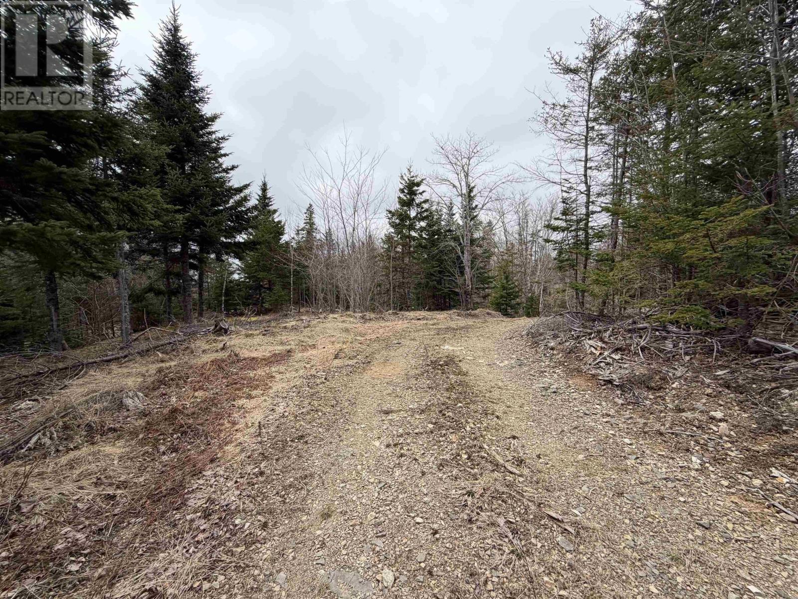 Property 6 of 10 of Lot 22-3 226 Brookville Branch Road