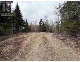 Lot 22-3 226 Brookville Branch Road, Bridgeville, NS B2H5C7 Photo 6