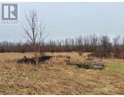 00 Mitchells Cross Road, Prince Edward County, ON K0K2T0 Photo 6