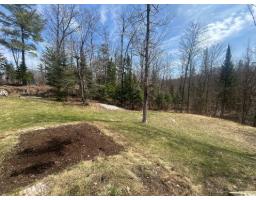 6 Rue Du Butor, Val Des Monts, QC J8N0B7 Photo 39