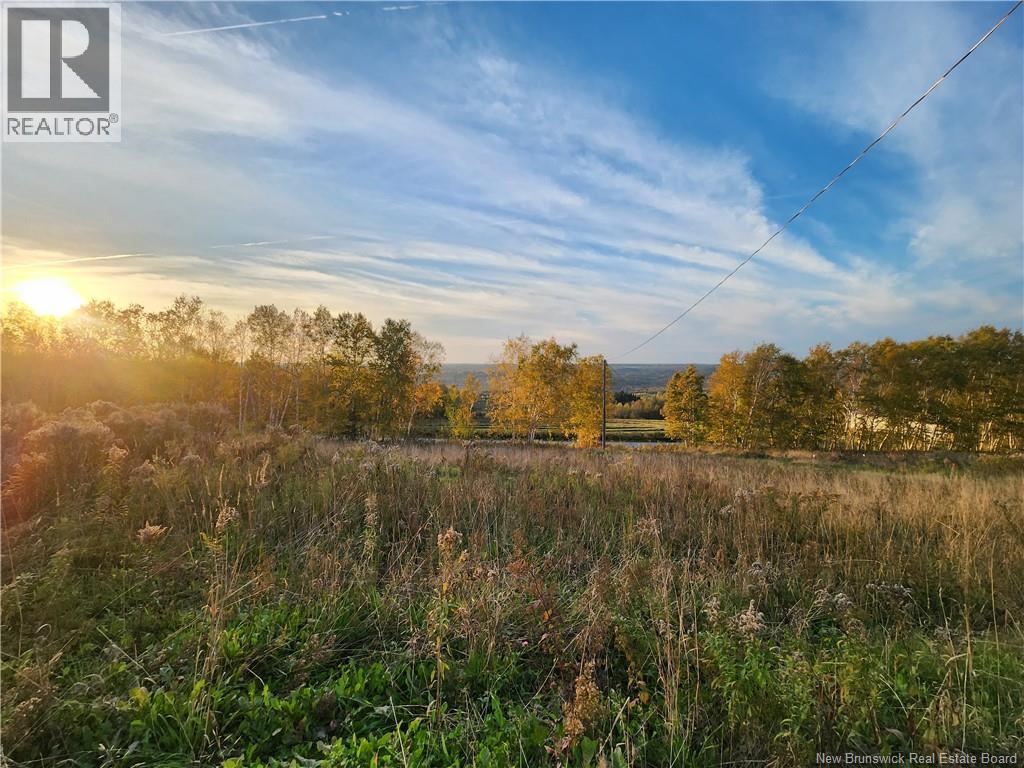304 Foley Brook - 7
