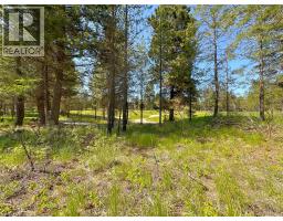 121 Corral Boulevard, Cranbrook, BC V1C0C2 Photo 17
