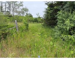 Between 72 & 337 County 24 Road, Prince Edward County, ON K0K2P0 Photo 12