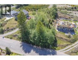 474 Point Ideal Dr, Lake Cowichan, BC V0R2G0 Photo 11