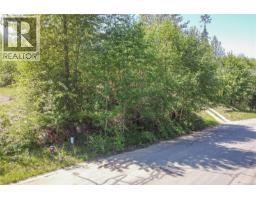 474 Point Ideal Dr, Lake Cowichan, BC V0R2G0 Photo 13