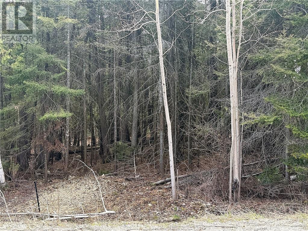 N/A Third Avenue, Manitowaning — photo 3