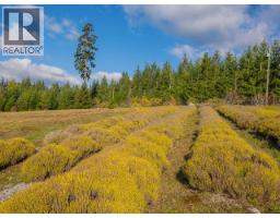 6268 Shelter Point Road, Texada Island, BC V0N3K0 Photo 56