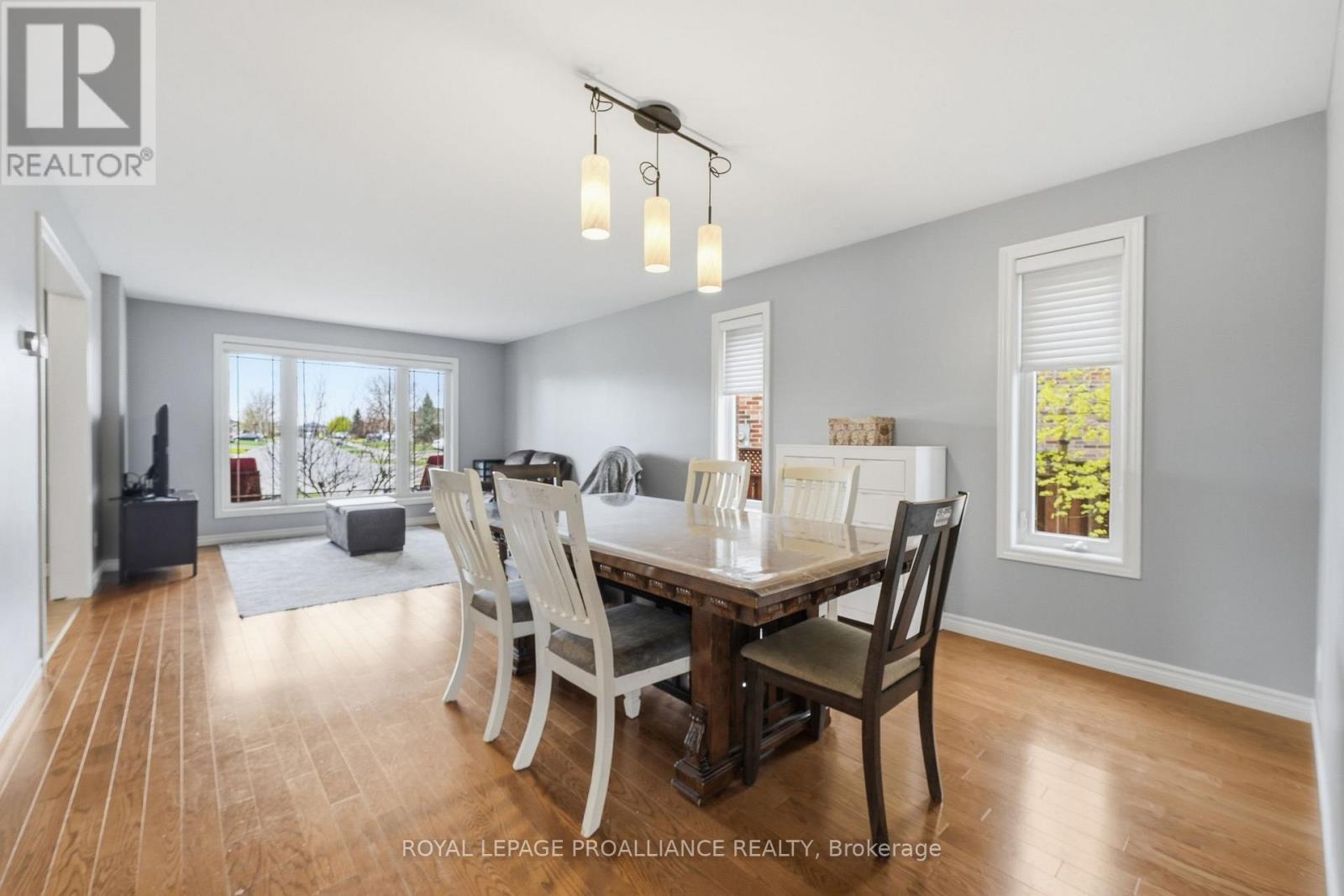 9 ESSEX DRIVE - 17