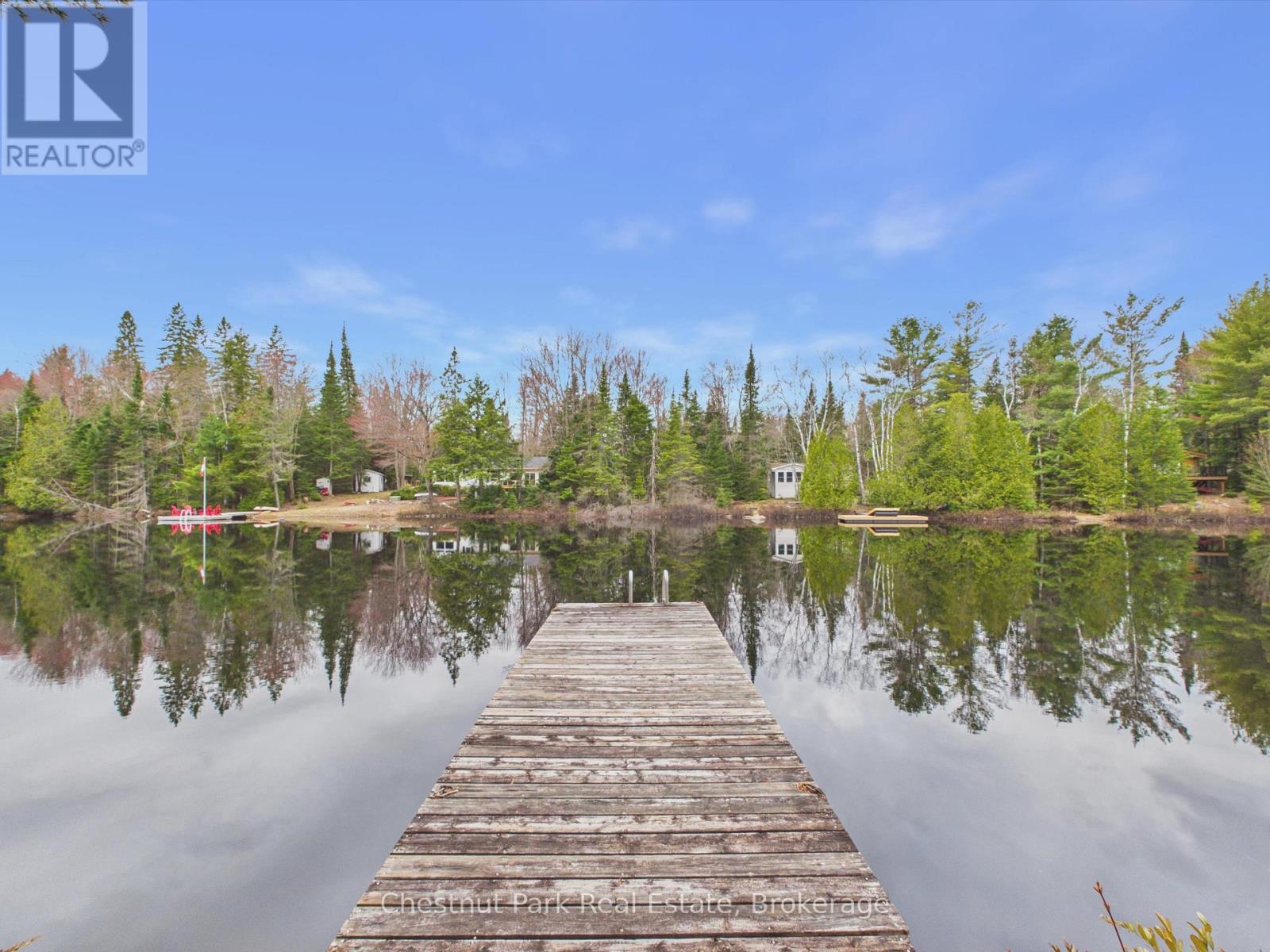 1299 DICKIE LAKE ROAD - 31