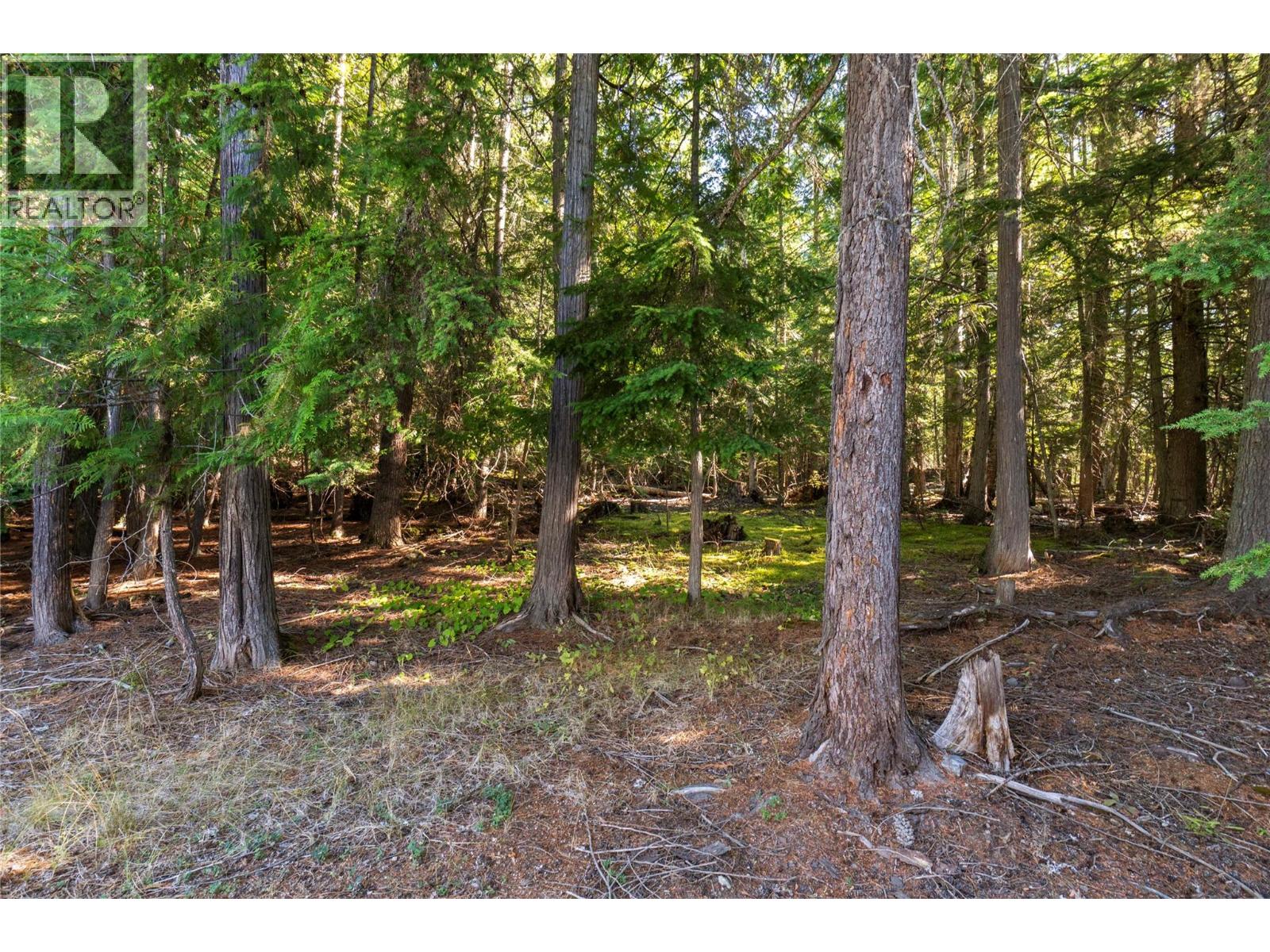 6803 Magna Bay Drive - 47