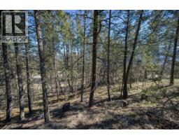Lot 12 Bella Vista Boulevard, Fairmont Hot Springs, BC V0B1L1 Photo 10