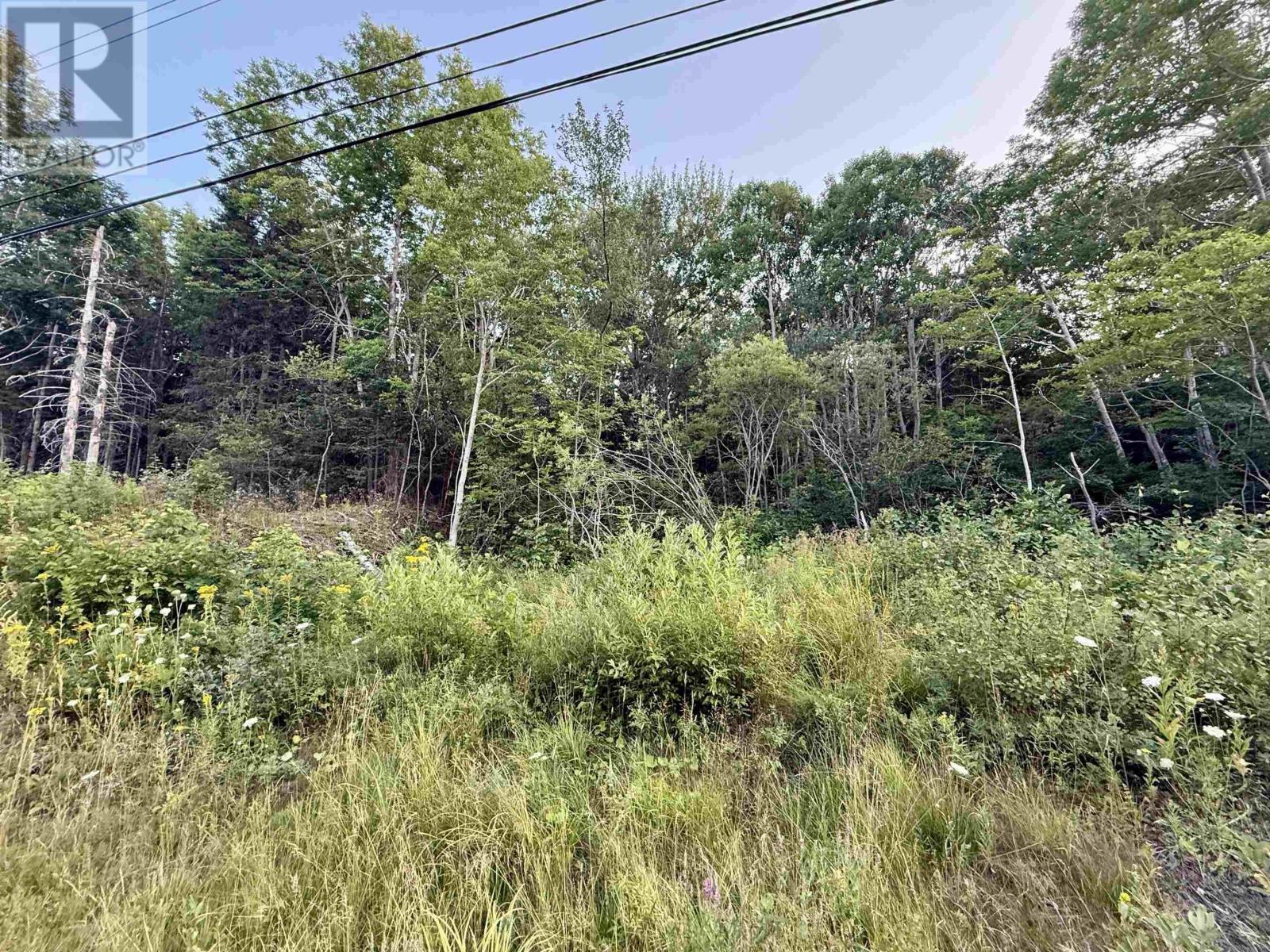 Property 4 of 12 of Lot Highway 4