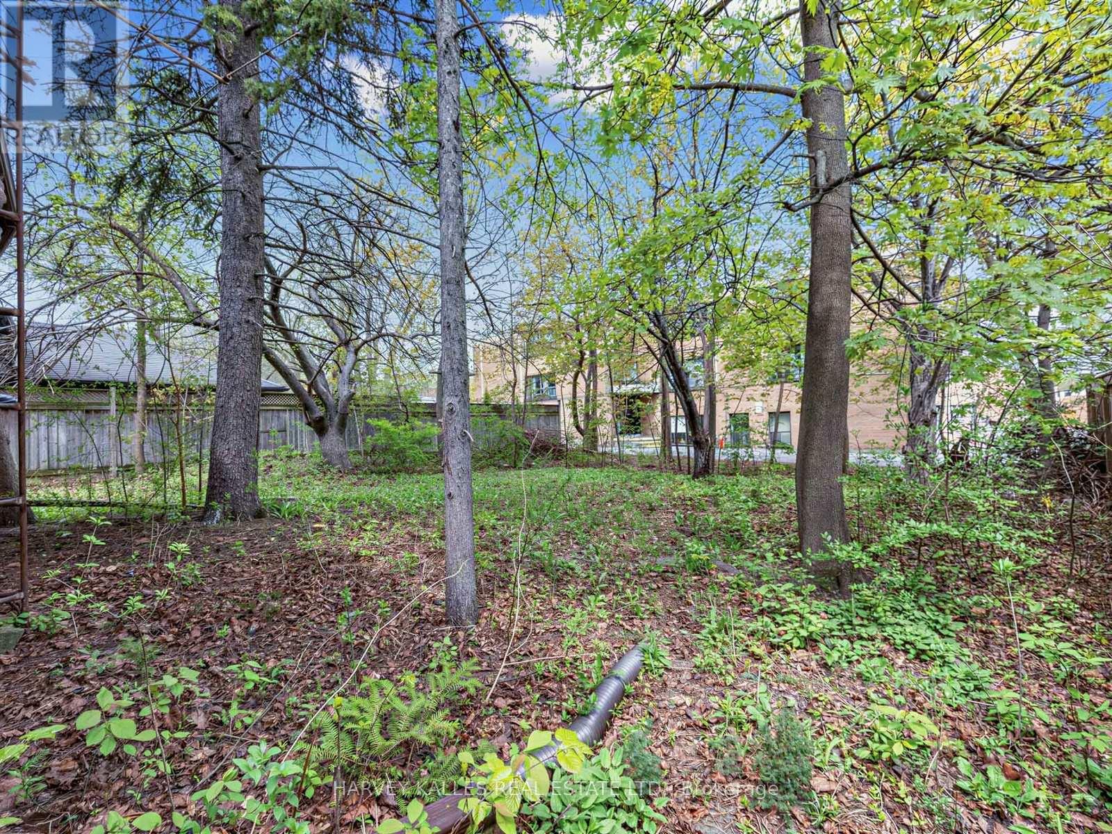 12 INVERMAY AVENUE - 37