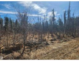 #Township Road 575 and Range Road 173, Rural Lamont County — photo 5