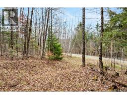 00 Everett Lane, Keswick Ridge, NB E6L1W1 Photo 22