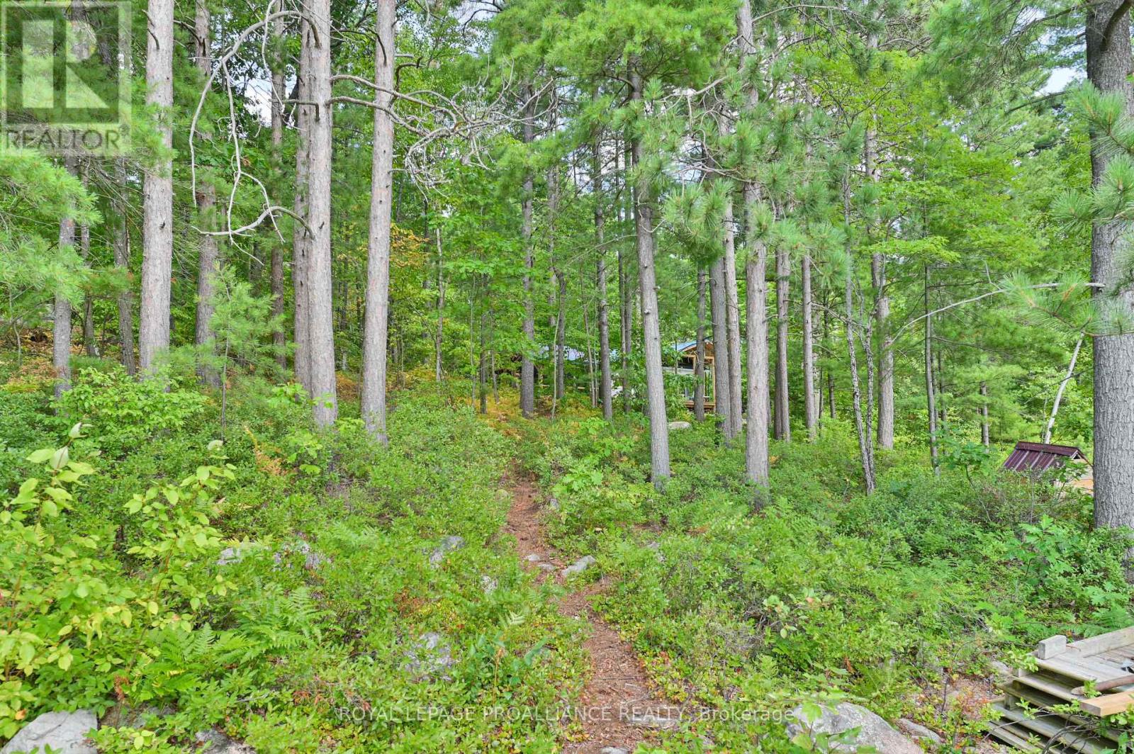 1780 MAZINAW LAKE - 29