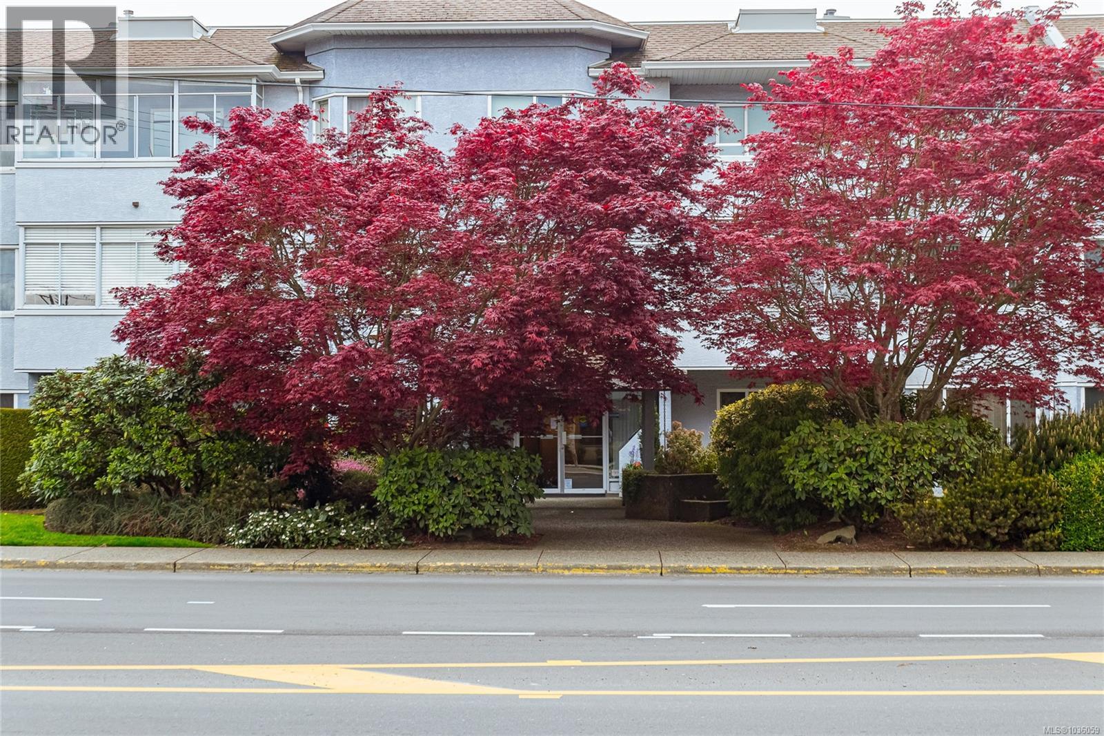 #208 3931 Shelbourne St - 39