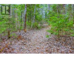 0 Lower Craigmont Road, Madawaska Valley, ON K0J1L0 Photo 11