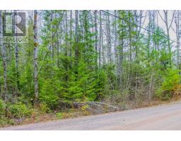 0 Lower Craigmont Road, Madawaska Valley, ON K0J1L0 Photo 12