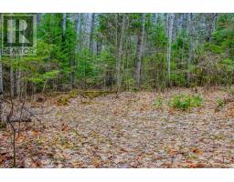 0 Lower Craigmont Road, Madawaska Valley, ON K0J1L0 Photo 6