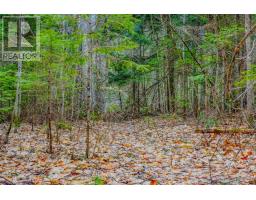 0 Lower Craigmont Road, Madawaska Valley, ON K0J1L0 Photo 7