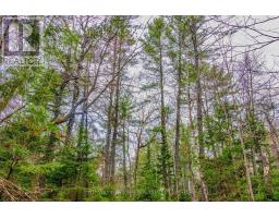 0 Lower Craigmont Road, Madawaska Valley, ON K0J1L0 Photo 8