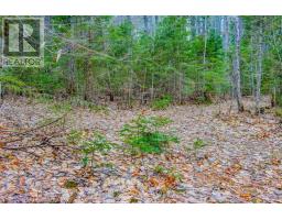 0 Lower Craigmont Road, Madawaska Valley, ON K0J1L0 Photo 9