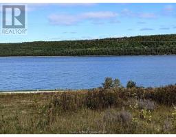 99 Lighthouse Road, Gore Bay, ON P0P1H0 Photo 23