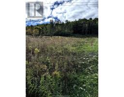 99 Lighthouse Road, Gore Bay, ON P0P1H0 Photo 25