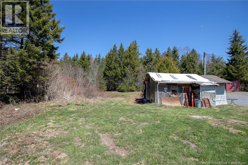 349 Milkish Creek Road - 19