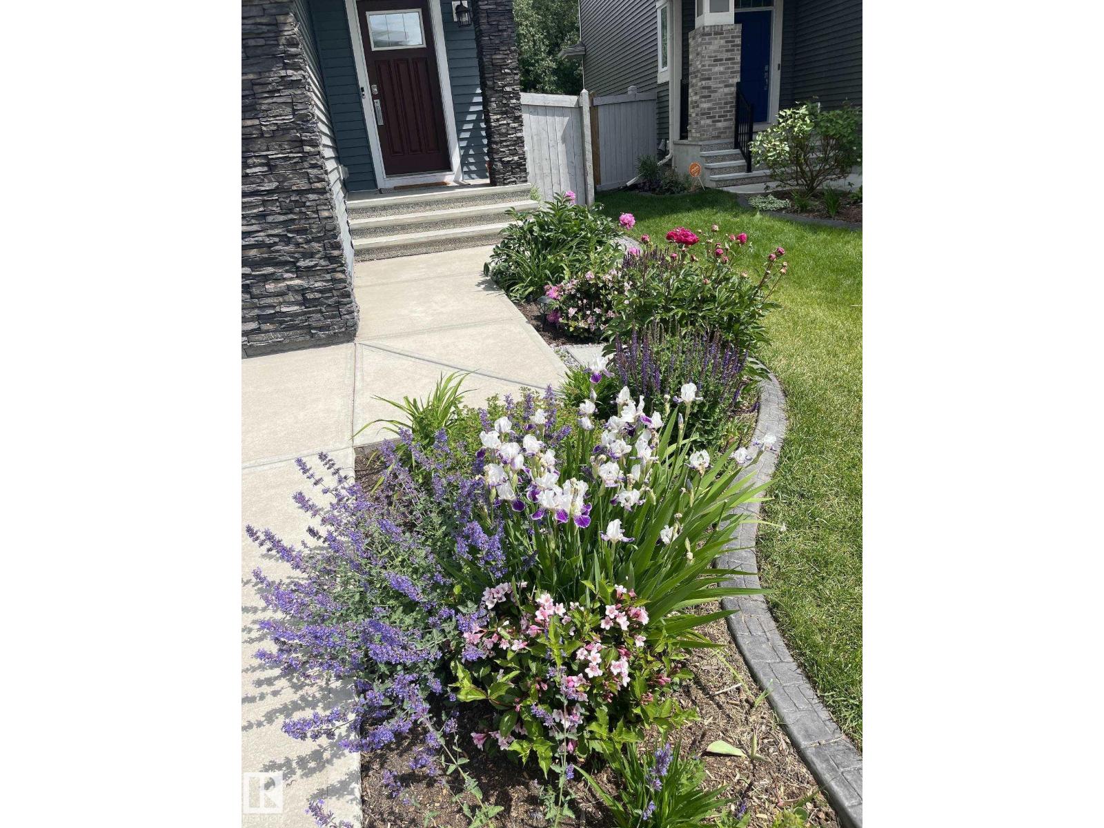 2413 SAN FORTUNATO ST NW - 57