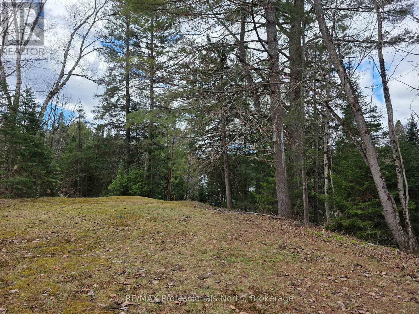 231 KAY ROAD W - 28