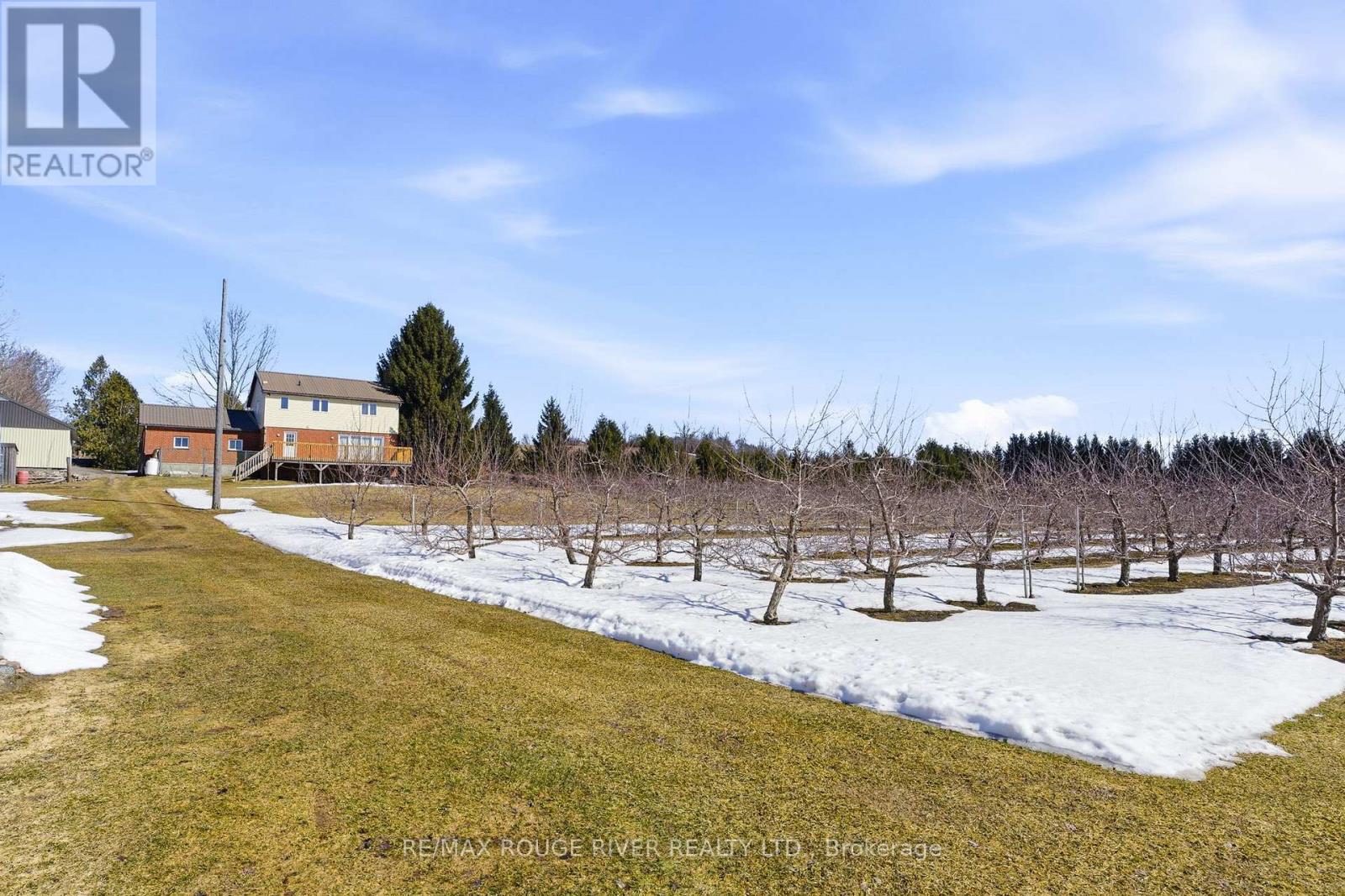 223 TURK ROAD - 31