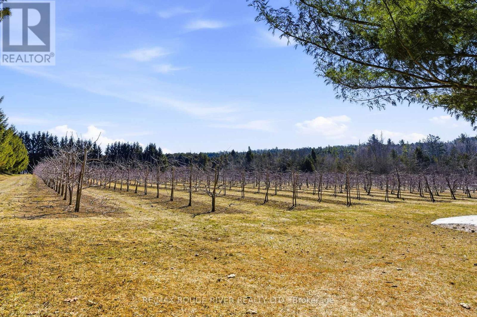 223 TURK ROAD - 32