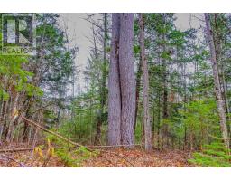 00 Lower Craigmont Road, Madawaska Valley, ON K0J1L0 Photo 10