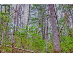 00 Lower Craigmont Road, Madawaska Valley, ON K0J1L0 Photo 11