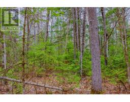 00 Lower Craigmont Road, Madawaska Valley, ON K0J1L0 Photo 12