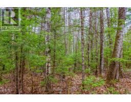 00 Lower Craigmont Road, Madawaska Valley, ON K0J1L0 Photo 13
