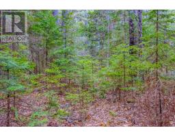 00 Lower Craigmont Road, Madawaska Valley, ON K0J1L0 Photo 14