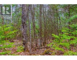 00 Lower Craigmont Road, Madawaska Valley, ON K0J1L0 Photo 15