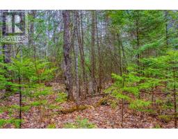 00 Lower Craigmont Road, Madawaska Valley, ON K0J1L0 Photo 16
