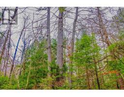 00 Lower Craigmont Road, Madawaska Valley, ON K0J1L0 Photo 17